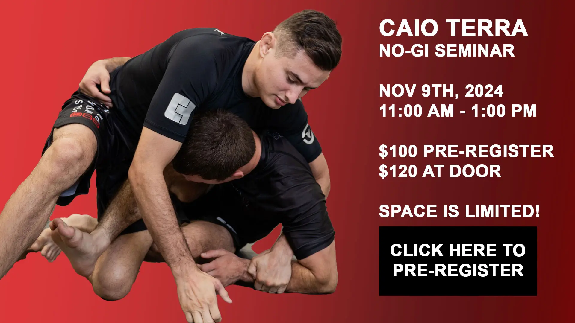 caio_terra_no_gi_seminar_2024